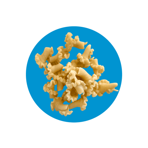 Image of pasta in a blue circle