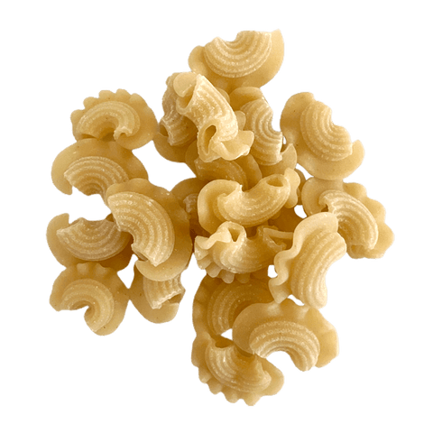 Image of Macaroni Gallo pasta