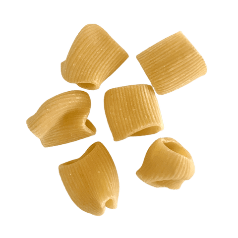 Image of Paccheri pasta